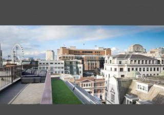 Luxe London Skyline View Penthouse - Londra - 3