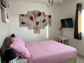 Les hortensias - Les Sables-d'Olonne - 4