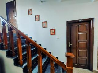 Archi whispering meadows - 2