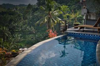 Heaven View 2 Bedroom Ubud Sayan - Ubud - 5