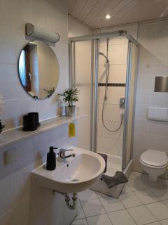 Ferienwohnung Morenz - Sinsheim - 7