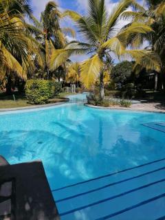 JV Jardin du Cap - 5