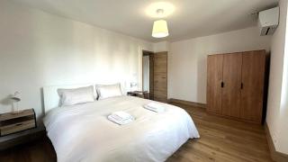 Appartement Moderne et Spacieux, à 10 min de la Gare - Colmar - 8