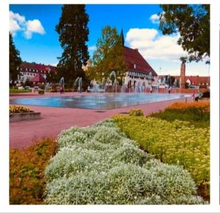Traumblick FeWo mit Pool - Baiersbronn - 1
