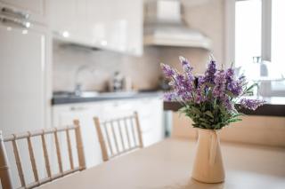 Le Cinque Rose airport apartment - 9