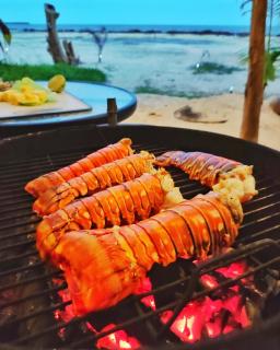 Luxury beachfront Glamping house - 4