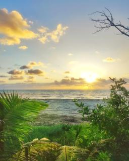 Luxury beachfront Glamping house - 3