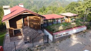 Вила Белият камък - Златоград - Zlatograd - 7