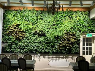 Hotel Willa Starosty - 7