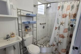 Container 1 with pool, free wifi fully equiped - Cabo Rojo - 1
