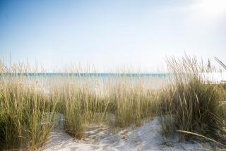 Seas The Day - Rosemary Beach - 7