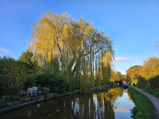 Pennymoor - Middlewich - 1