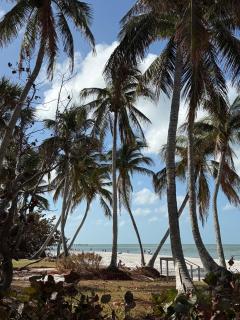 Quiet 5-br House Heated Pool And Outdoor Kitchen - 6