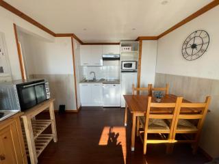 Appartement bellevue sur les hauteurs de Super-Besse - Besse-et-Saint-Anastaise - 4