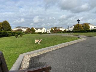Comfy Apartment near Dublin Airport with FREE PARKING - Dublin - 4