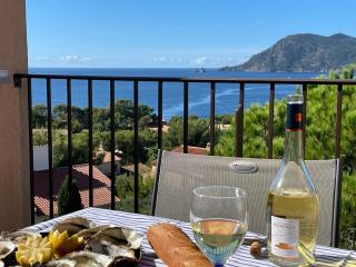 Les 2 frères - Vue mer panoramique solarium - les Sablettes - Saint-Mandrier-sur-Mer - 0