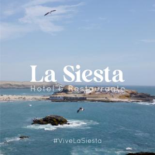 Hotel La Siesta - 9