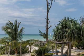 Jaribu Beach Hotel - Paje - 5