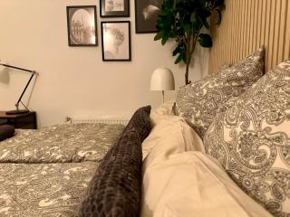 Schönes und Gemütliches Apartment-Haus im ruhigen Hinterhof - Hamburg - 3