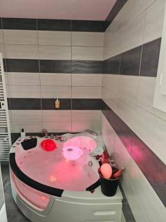 Magnifique maison avec baignoire balnéo - Cornebarrieu - 8