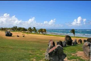 studio tropical vue mer - Le Moule - 6