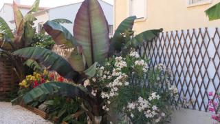 Appartement avec piscine et parking privé - 7