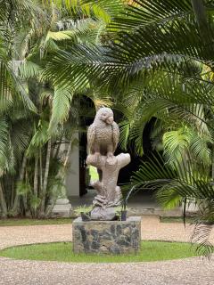 Hacienda Mi Soledad - Balancán de Domínguez - 0