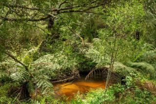 Millers Rest - Gladysdale - 6