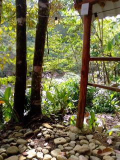 Glamping el Bosque San Luis - San Luis - 6