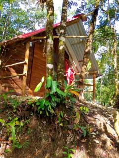 Glamping el Bosque San Luis - San Luis - 5