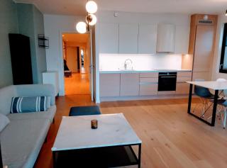 BEACHFRONT LUXURY VIP ROOM BY CENTRAL STATION Oslo - Oslo - 4