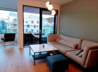 BEACHFRONT LUXURY VIP ROOM BY CENTRAL STATION Oslo - Oslo - 3