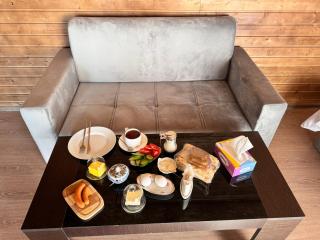 Hovakimyans Hotel Airport - Armavir - 9