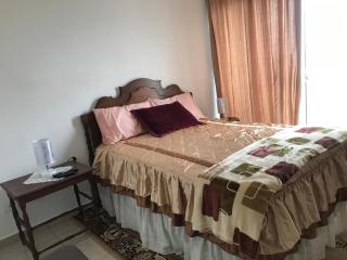 Lindo y acogedor depto De un dormitorio - Santa Cruz de la Sierra - 0