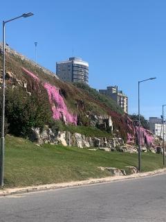 Departamento en Edificio Atenas XVII - Mar del Plata - 1