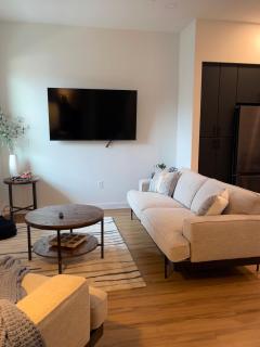 Hip Luxury Condo Getaway- Near Gruene - New Braunfels - 9