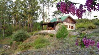 Cabaña villa alpina Mantillo de bosque - Villa Alpina - 4