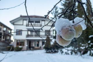 Eight Rooms Bansko - Bansko - 1