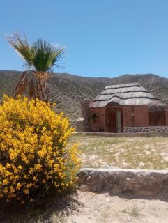 Cabañas El Molino - Potrerillos - 8