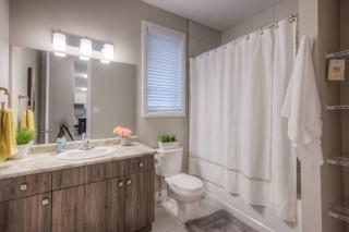 BRAND-NEW LUXURY SUITE in DOON SOUTH, min to 401 - Kitchener - 5