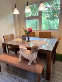 2BR Condo in Antipolo with Karaoke, Netflix and Games - Antipolo - 6