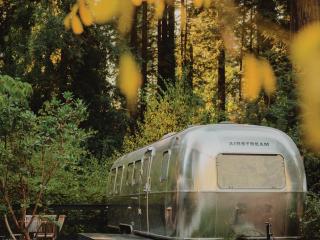 AutoCamp Russian River - Guerneville - 3