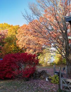 Air Vermont Apartment - 5