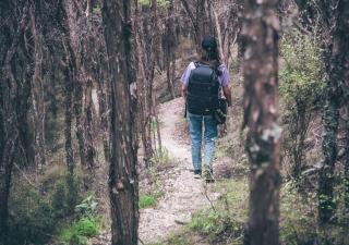 Korimako PurePod - 4