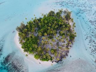 Croisière paradisiaque à Bora bora - Bora Bora - 9