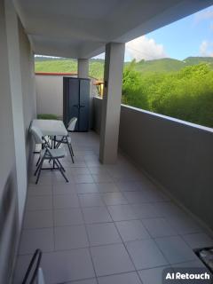 Abricotier à proximité des plages du sud - 1