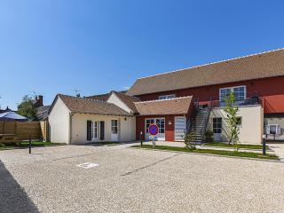Gîte de charme en Sologne, 15 pers., 5 ch., accès PMR, parking privé, tout inclus, animaux acceptés - FR-1-491-427 - 2