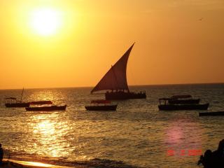 Princess Salme Inn - Zanzibar City - 2