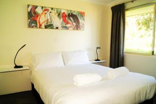 Bandicoot 21 - Albany - 1