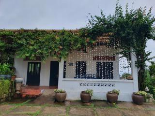 House on the hyll - Tiến Thành - 4